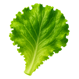 lettuce-leaf stylized as digital