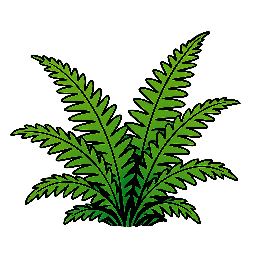 fern stylized as comic